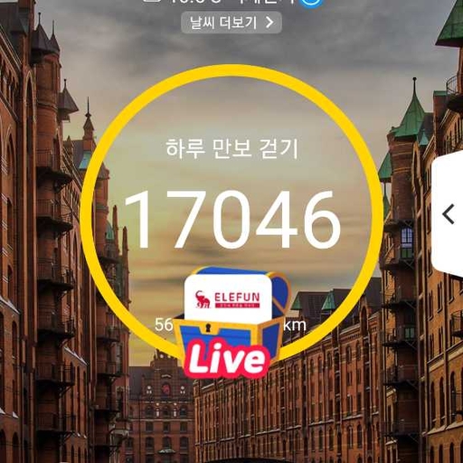 피드 이미지