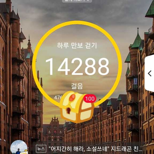 피드 이미지