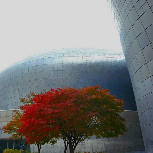 피드 이미지
