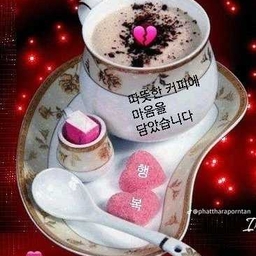 피드에 업로드 된 이미지