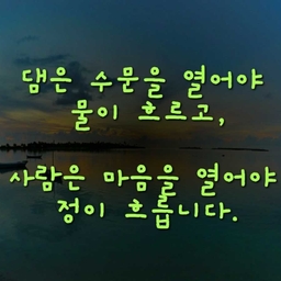 피드에 업로드 된 이미지