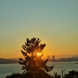 피드에 업로드 된 이미지