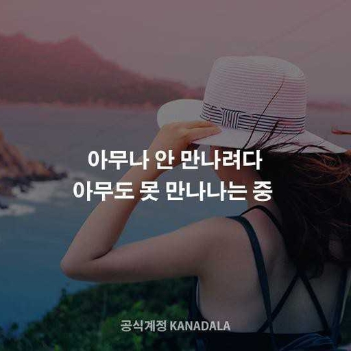 피드 이미지