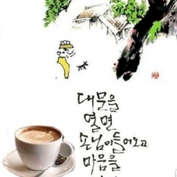 피드에 업로드 된 이미지