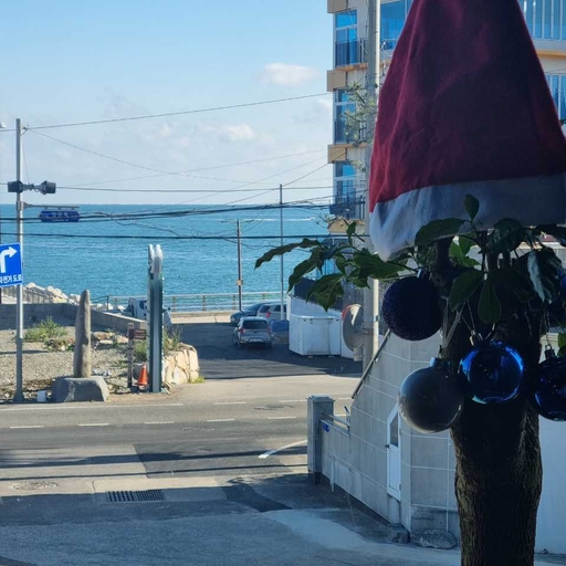 피드 이미지