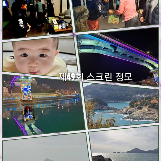 피드 이미지