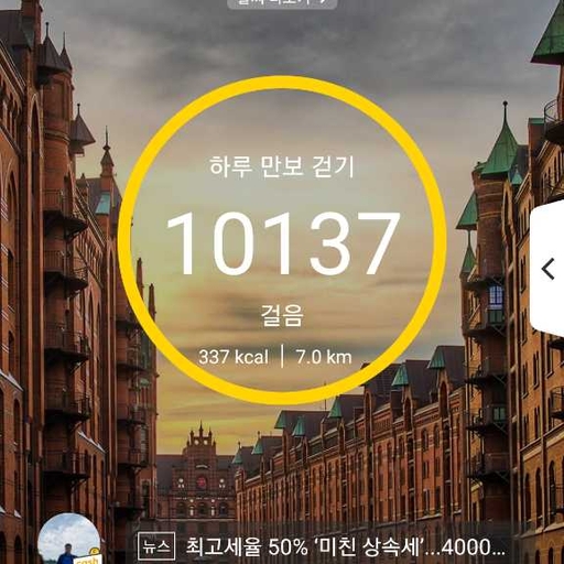 피드 이미지
