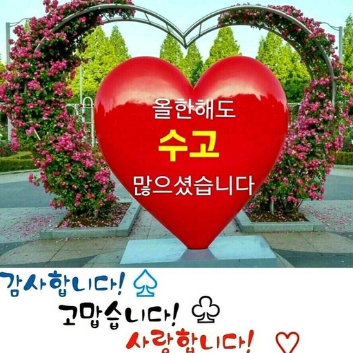 피드 이미지