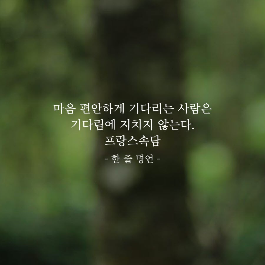 피드에 업로드 된 이미지