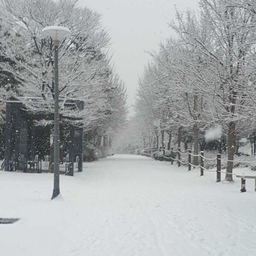 피드에 업로드 된 이미지