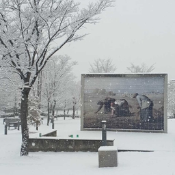 피드에 업로드 된 이미지