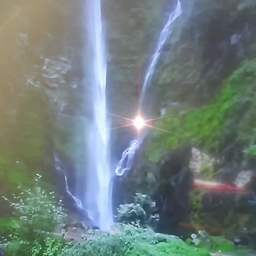 피드에 업로드 된 이미지