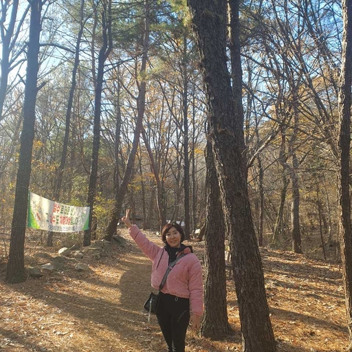 피드 이미지