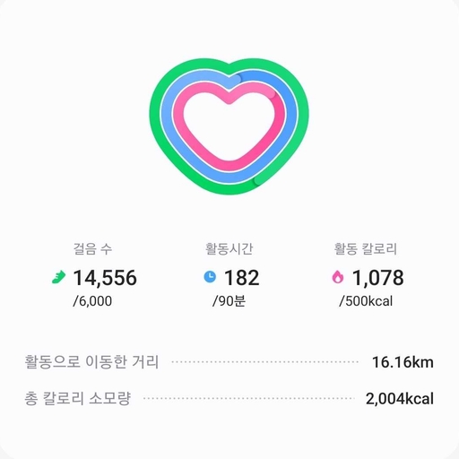 피드 이미지