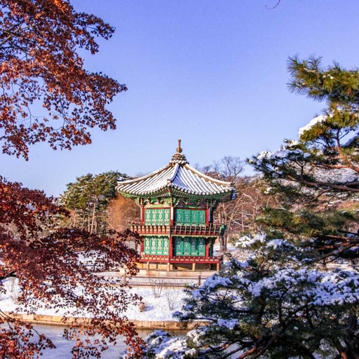 피드 이미지