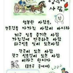 피드에 업로드 된 이미지