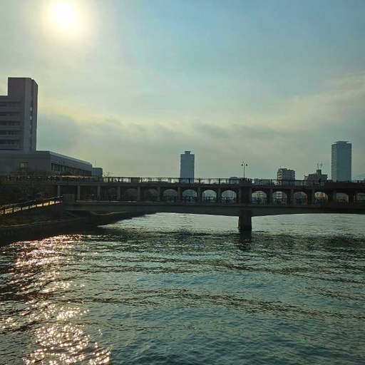피드 이미지