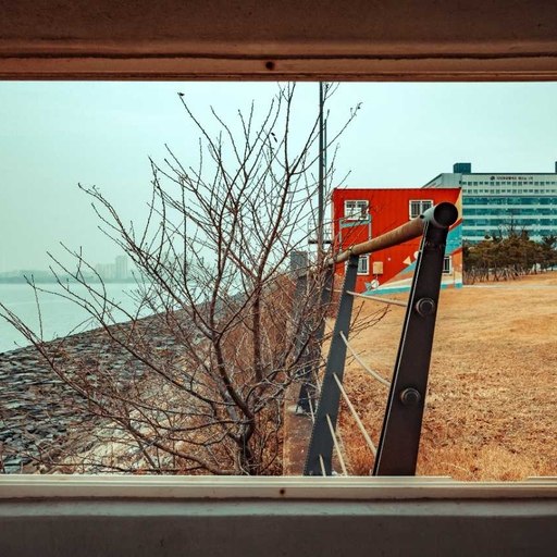피드 이미지