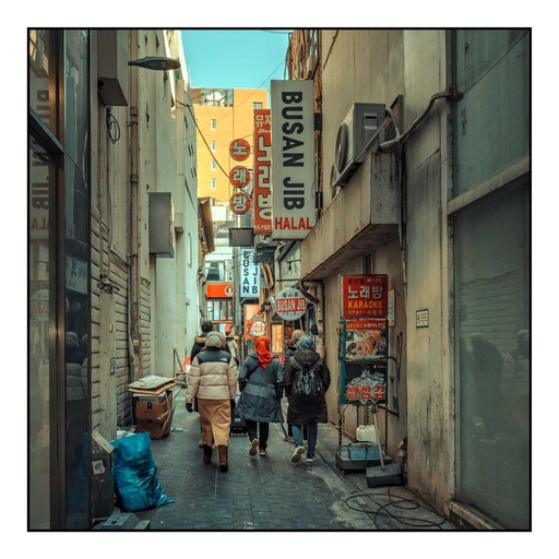 피드 이미지