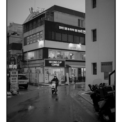피드 이미지