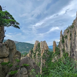 피드에 업로드 된 이미지