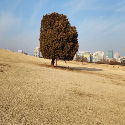 피드 이미지