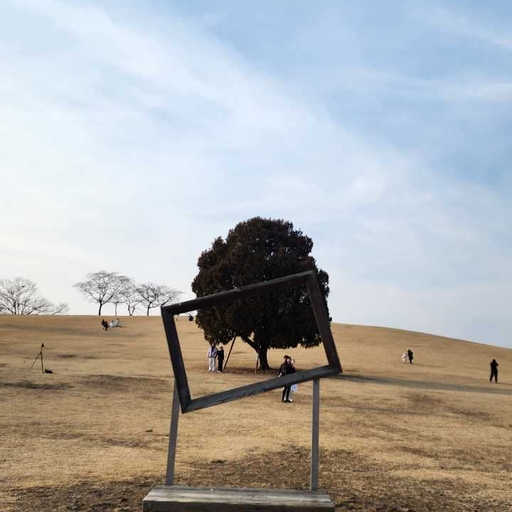 피드 이미지