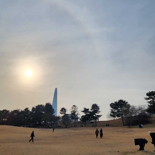 피드 이미지