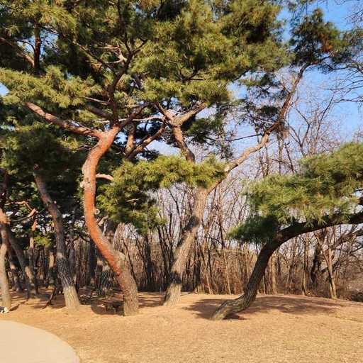 피드 이미지