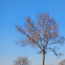 피드에 업로드 된 이미지