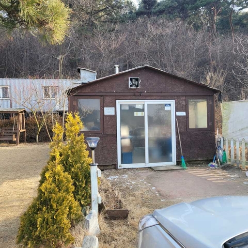 피드 이미지