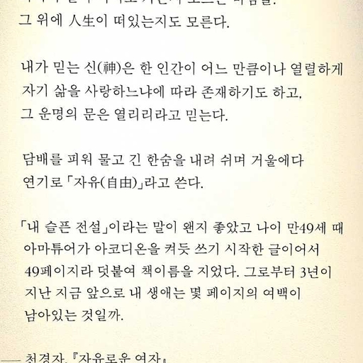 피드 이미지