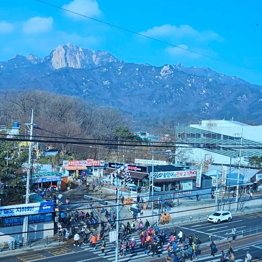 피드 이미지