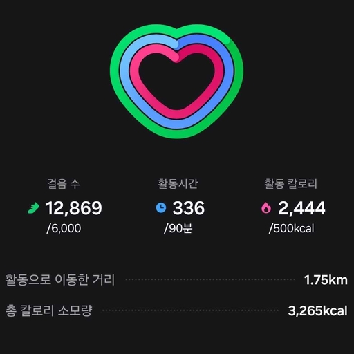 피드 이미지