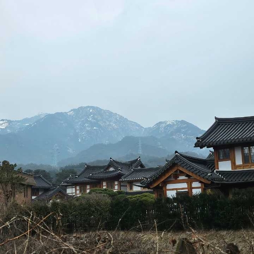 피드 이미지