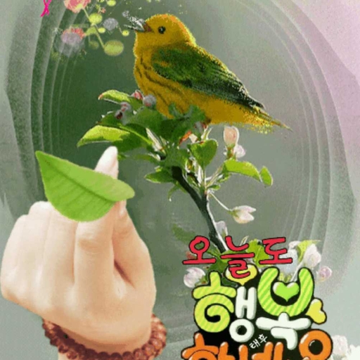 피드 이미지