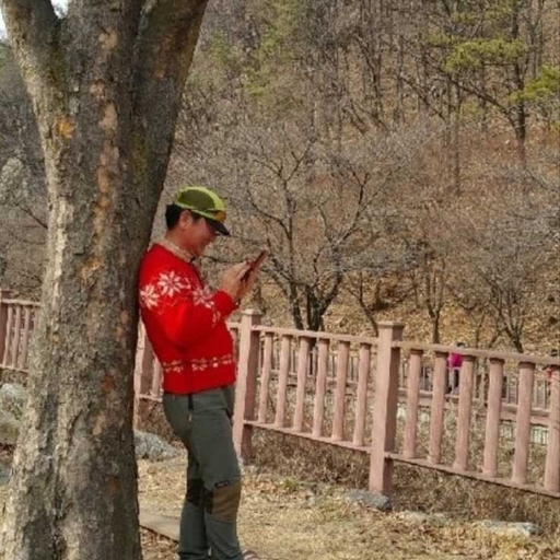 피드 이미지
