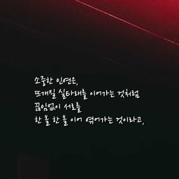 피드에 업로드 된 이미지