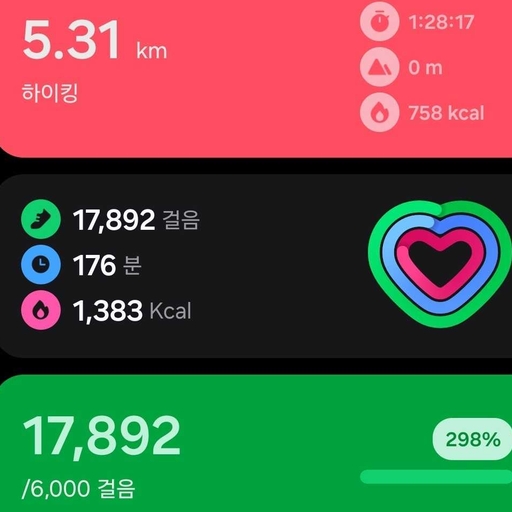 피드 이미지