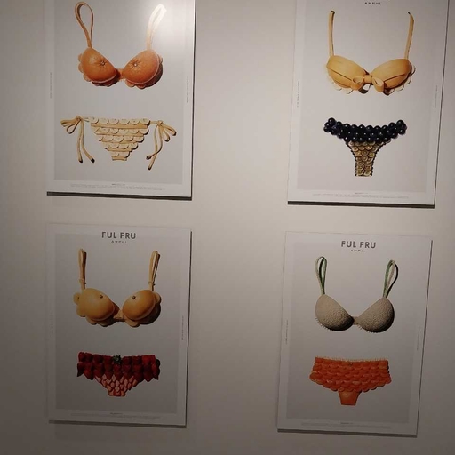 피드 이미지