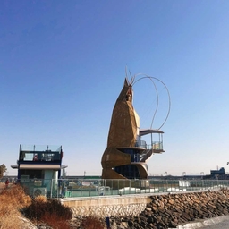 피드에 업로드 된 이미지