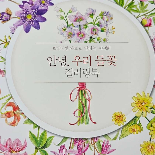 피드 이미지