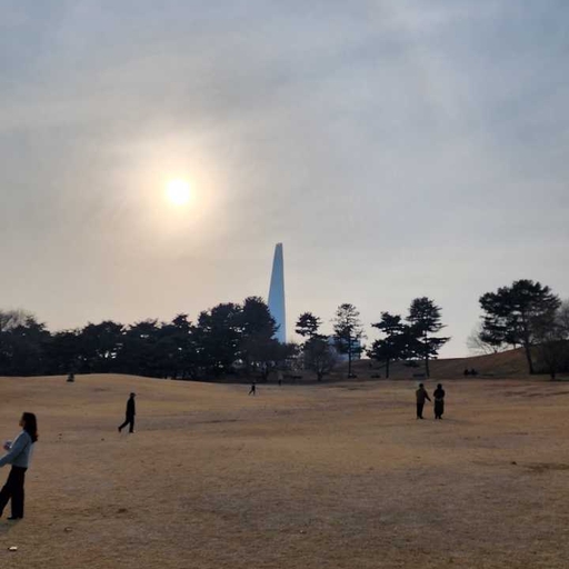 피드 이미지