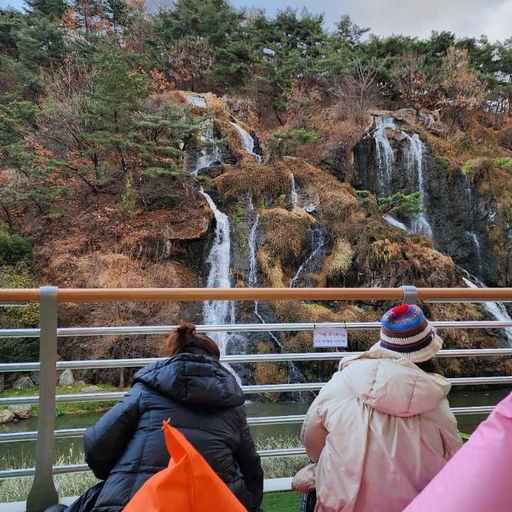 피드 이미지