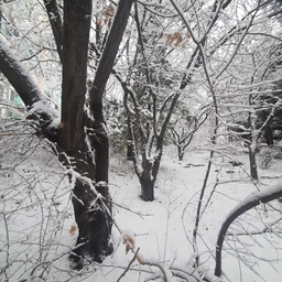 피드에 업로드 된 이미지