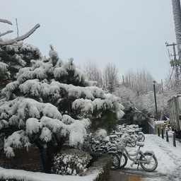 피드에 업로드 된 이미지