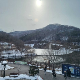 피드에 업로드 된 이미지