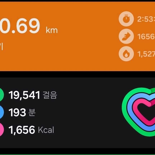 피드 이미지