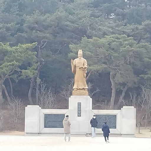 피드 이미지