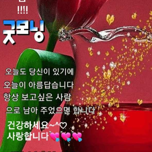 모임 대표 이미지